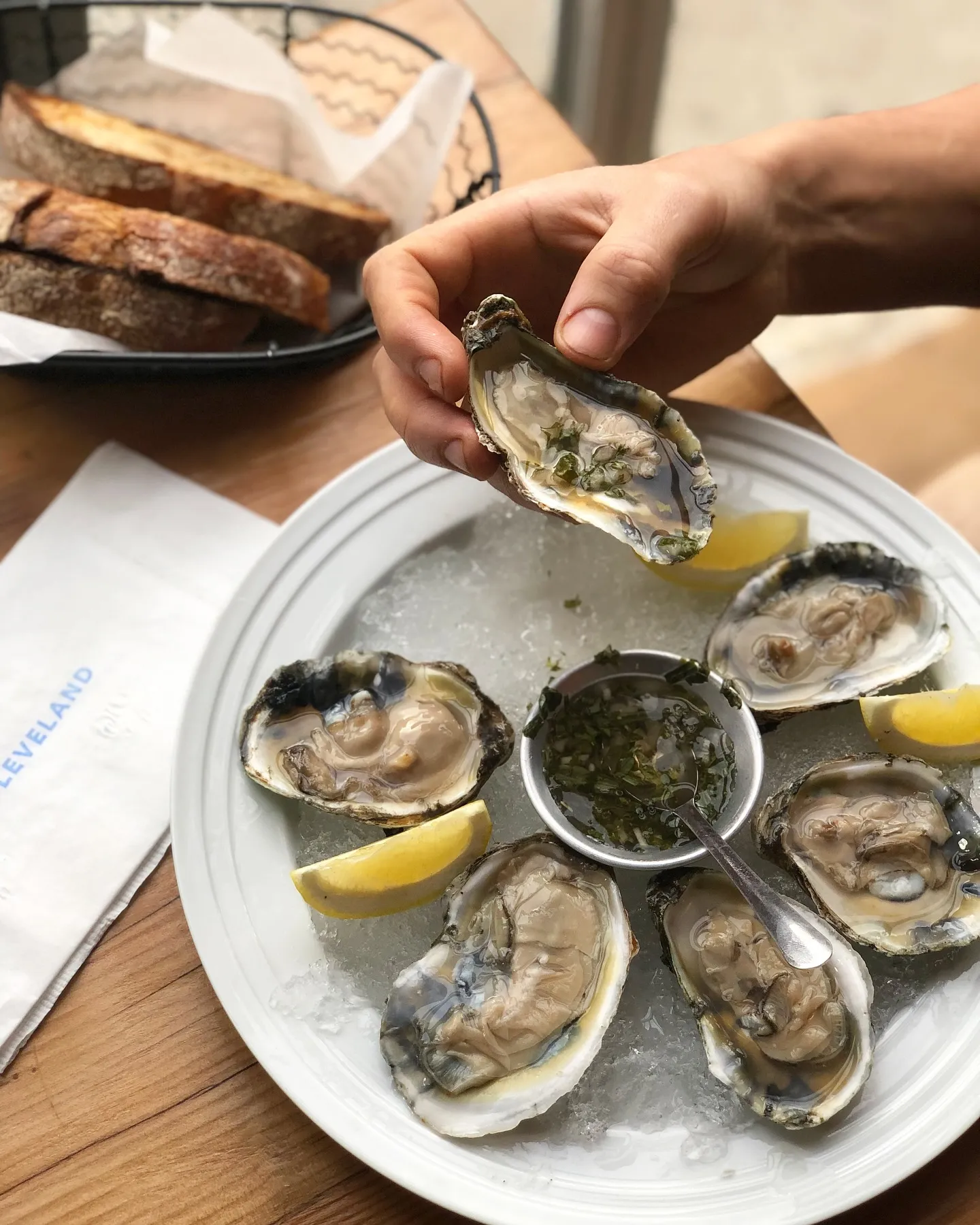Fresh oysters on ice with lemon and herb sauce